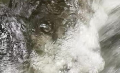 Kruhová zornice.jpg