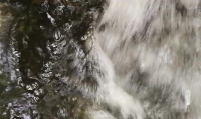 Štěrbinová zornice.jpg