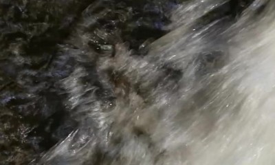 Pohyblivé víčko.jpg