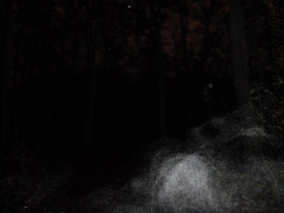 Hvezda_noc_03 podpis.jpg