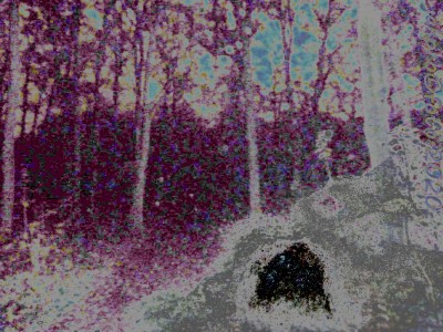 Hvezda_noc_03 podpisss.jpg