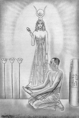 Wowk Cámara vzor.jpg