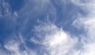 IMG_20200729_185113 -5.jpg