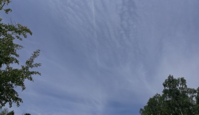 IMG_20210602_123343 -2.jpg