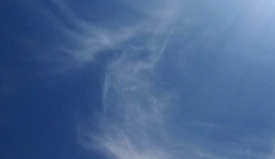 4. IMG_20200714_113225.jpg