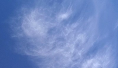 6. IMG_20200714_111401.jpg