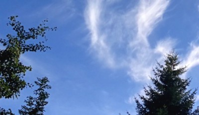 2. IMG_20200729_192059.jpg