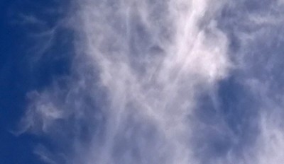 4. IMG_20200729_185018.jpg