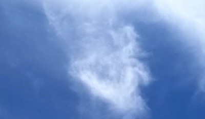 7. IMG_20200727_193412.jpg