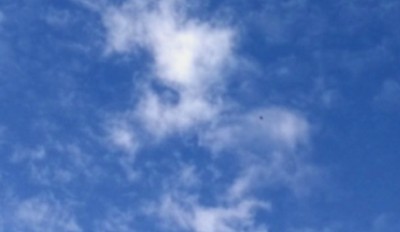 4. IMG_20200723_092926.jpg