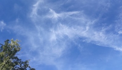 6. IMG_20200727_182637.jpg