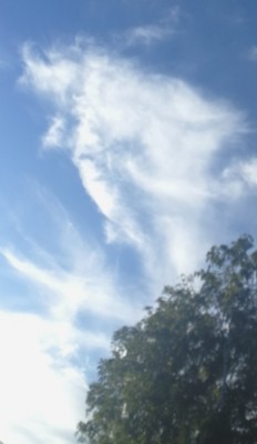 5. IMG_20200727_192631.jpg