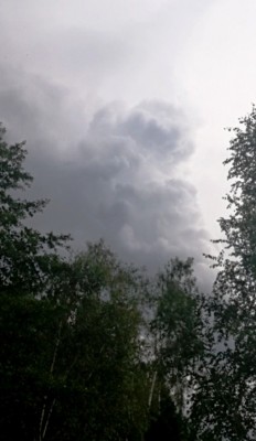 6. IMG_20200728_174026.jpg