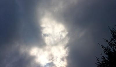 1. IMG_20200916_154711.jpg