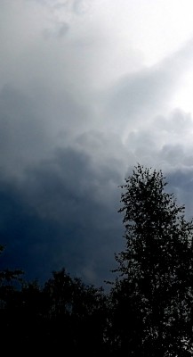 5. IMG_20200728_173933.jpg