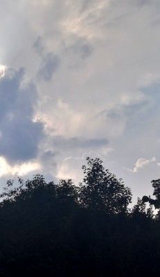 8. IMG_20200916_160430.jpg