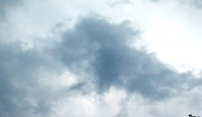 5. IMG_20200728_172955.jpg