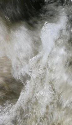 7. IMG_20211107_1325.jpg