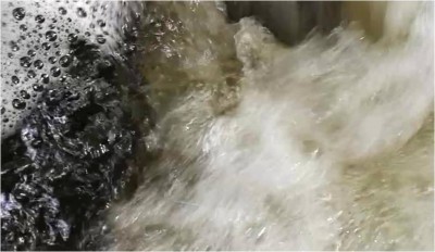 IMG_20220609_125504 -0.jpg