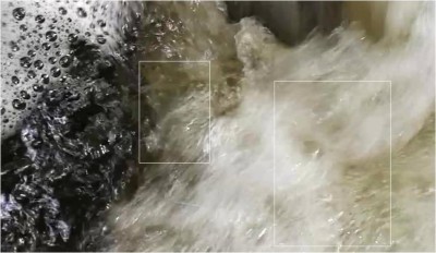 IMG_20220609_125504 -1.jpg