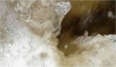 2. IMG_20210625_183545.jpg