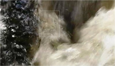 5. IMG_20220608_114910.jpg