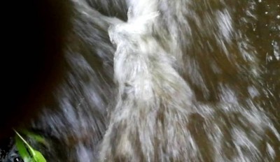 3. IMG_20220618_070515.jpg