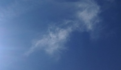 1. IMG_20220718_120219.jpg