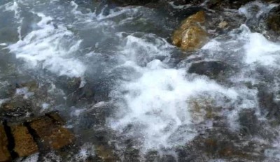 2. IMG_20220711_091137 -b.jpg