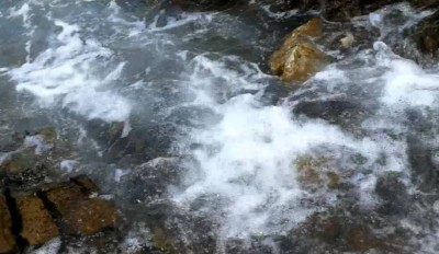 3. IMG_20220711_091137 -c.jpg