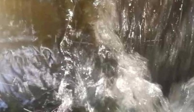 4. IMG_20220815_1020.jpg