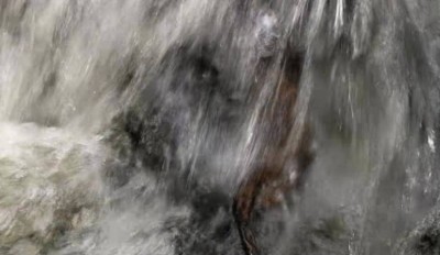 1. IMG_20220918_1331.jpg