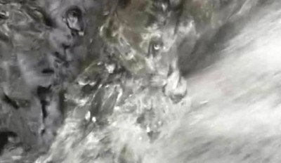 2. IMG_20210507_0847.jpg