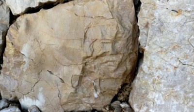 1. IMG_20230711_1006.jpg