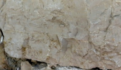 2. IMG_20230711_1011.jpg