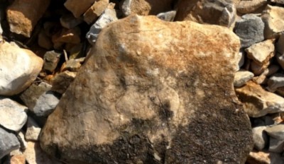 3. IMG_20230711_1025.jpg