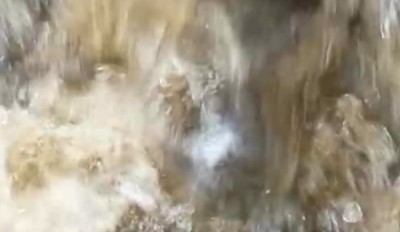 1. IMG_20231117_1232 -a.jpg