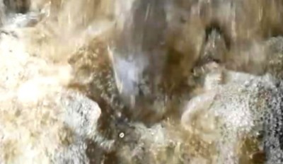 3. MG_20231117_1428.jpg