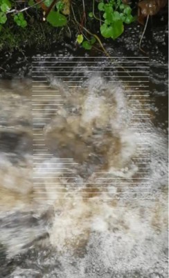 2. IMG_20231122_1858.jpg