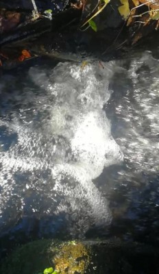 1. IMG_20231123_1723.jpg