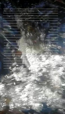 3. IMG_20231123_1339.jpg