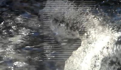 2. IMG_20231130_08328 -b.jpg