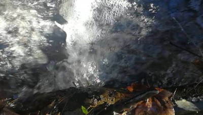 6. IMG_20231123 -6.jpg