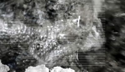 7. IMG_20231216_1348 -b.jpg