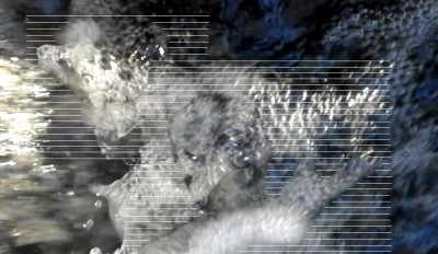 9. IMG_20231215_2348 -1b.jpg