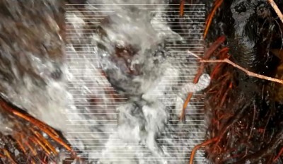 3. IMG_20231228_1810 -b.jpg