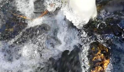 1. IMG__20240122_1219.jpg