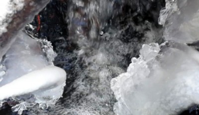 2. IMG_20240121_1244.jpg