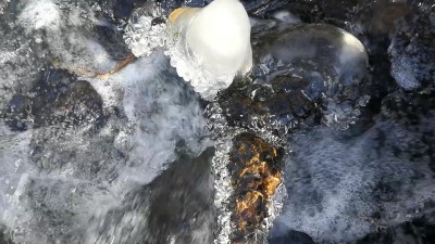 8. IMG_20240124_1219 -bonus.jpg