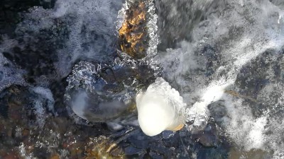 9. IMG_20240124_1649 -bonus.jpg